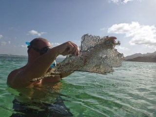 Snorkelling off Clifton, SVG