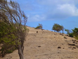 Hills above Chatham Bay