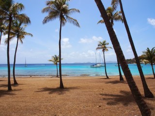 Mustique moorings