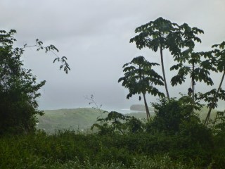 St David's Parish, Grenada