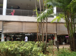 Green oasis within Tiong Bahru wetmarket