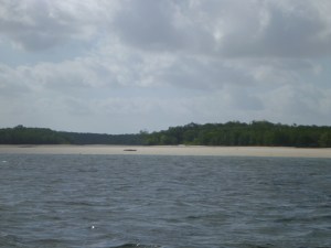 Croc on the beach, Escape River